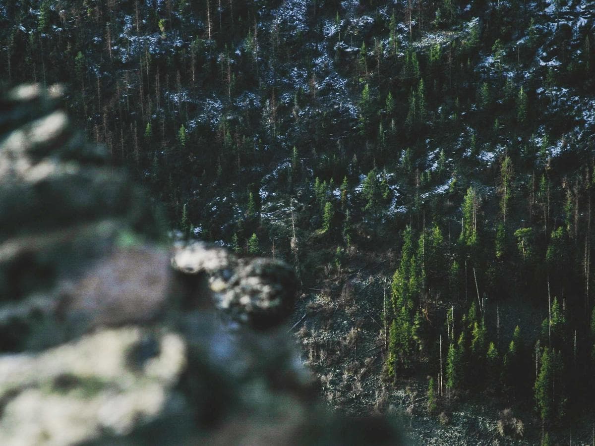 After Hours — photo 3
